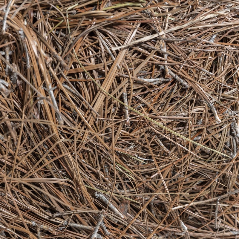 Garden Elements Long Leaf Pine Straw Bale For Mulch, Soil Amendment, 12.5 Pounds gallery
