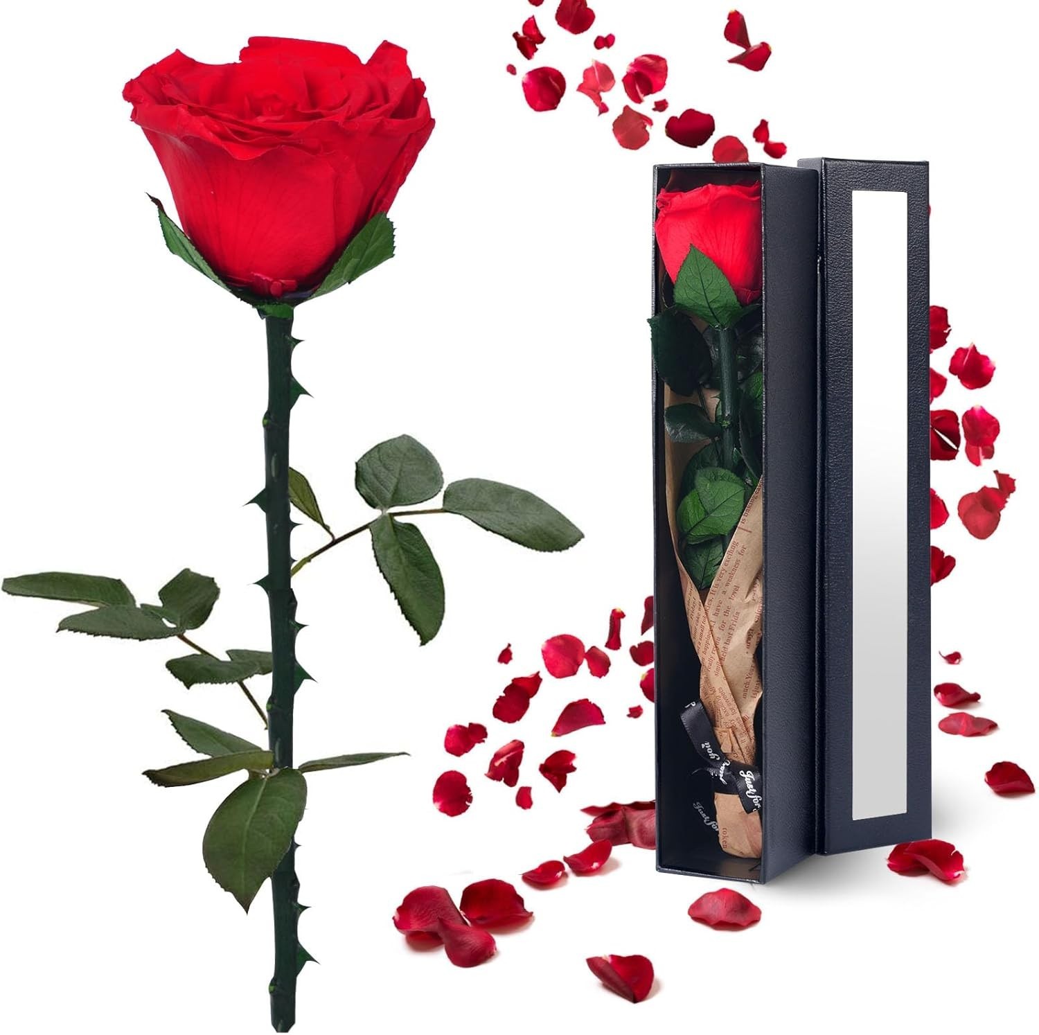 Black Preserved Roses for Delivery - Single Flower Gifts for Her gallery