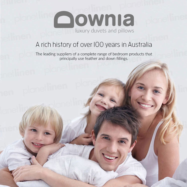 Downia Classique 50 White Duck Down & Feather Pillow Cotton Casing NEW gallery