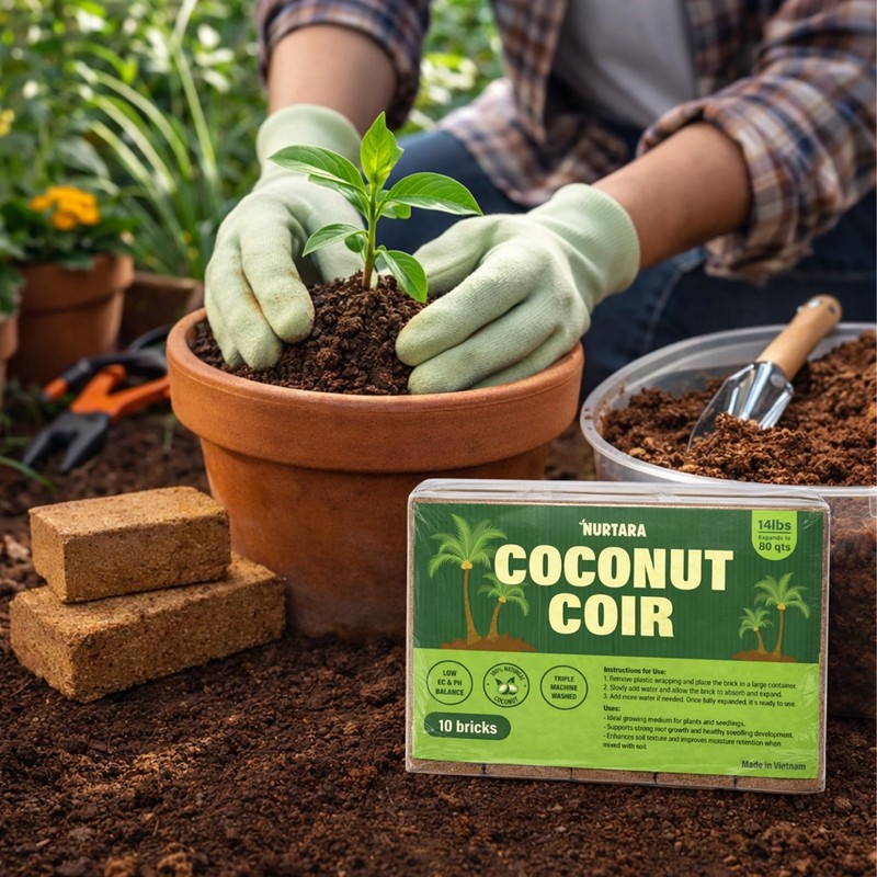 10 Pack Coconut Coir Bricks 14 Lbs | Organic Compressed Cocopeat Soil, Seed Star gallery