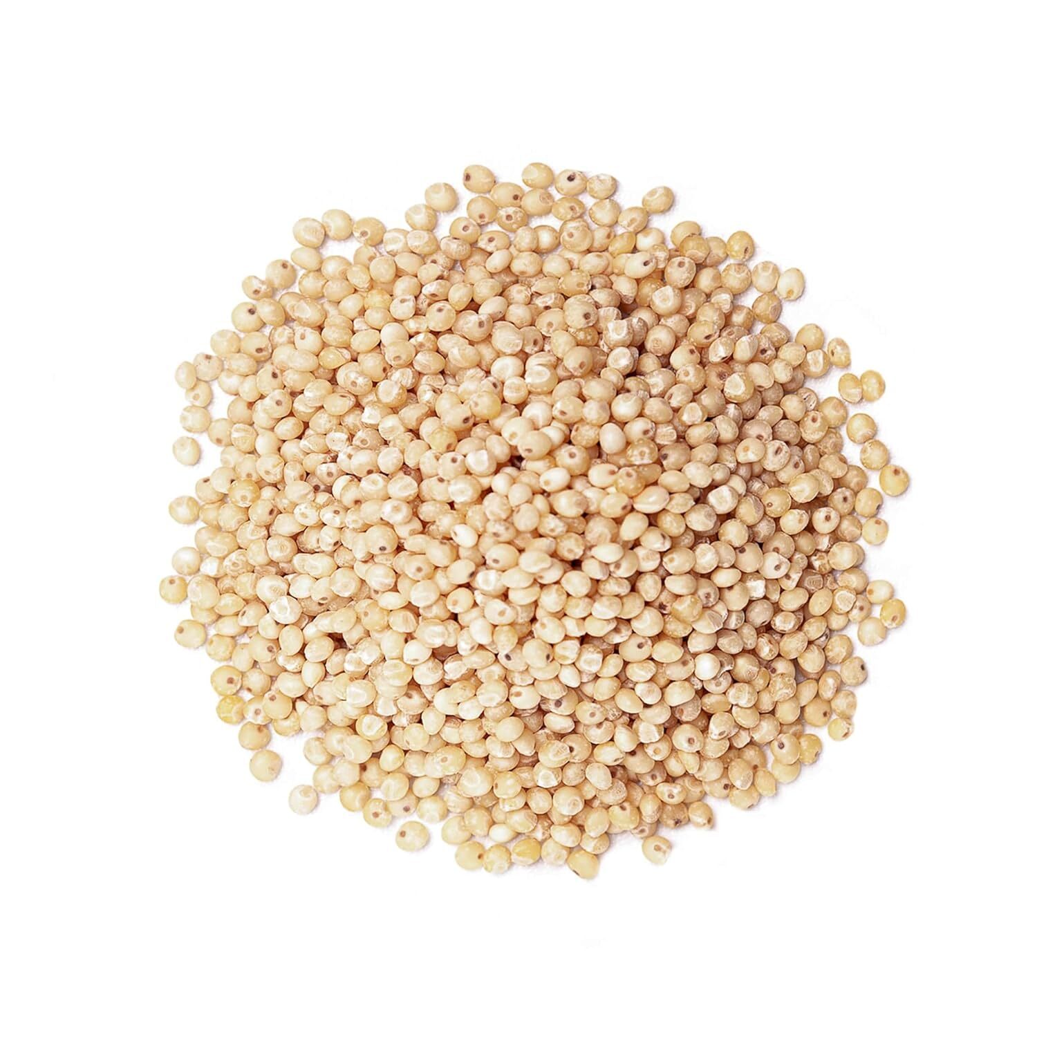 Organic Whole Grain Sorghum — Raw Milo Seeds. Vegan, Bulk Broom-corn gallery