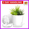 Plant Pots 8 Inch Self Watering Pots, 2 Pack Plastic Planters with Drainage H... gallery