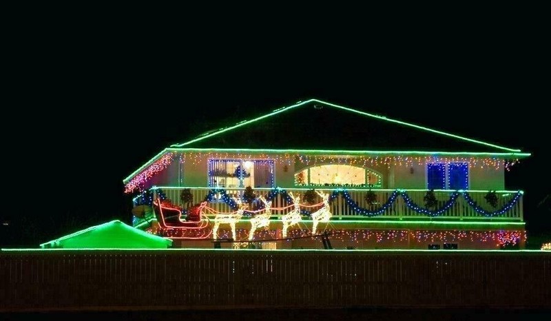Assorted Sizes Green LED Rope Lighting Flexible Indoor Outdoor Christmas Bright gallery