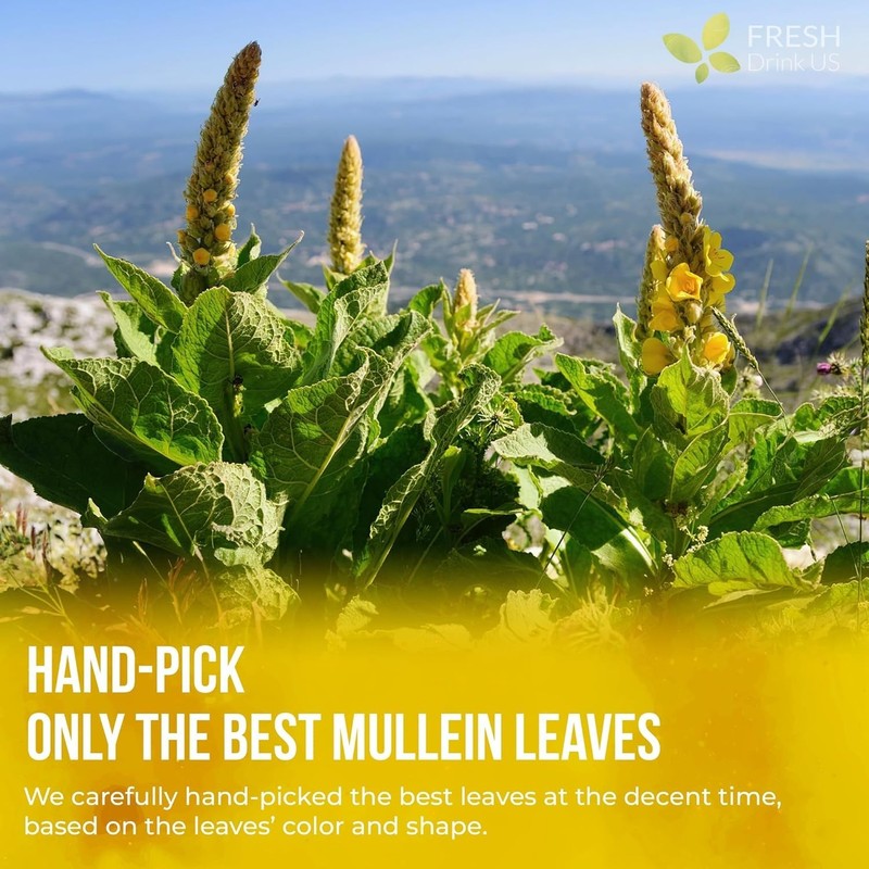 40 Mullein Leaf Tea For Lungs, Great Lung Detox For Smokers, Handmade, 100% N... gallery
