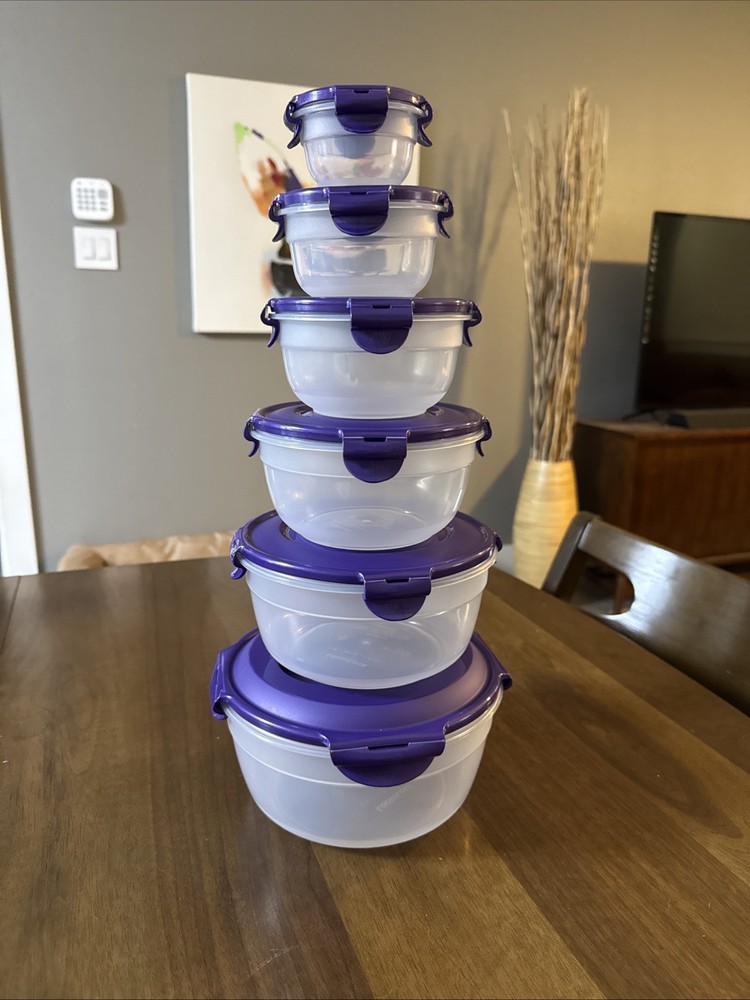 Lock & Lock 6pc Round Plastic Storage Container Set Clear Purple Snap Lid