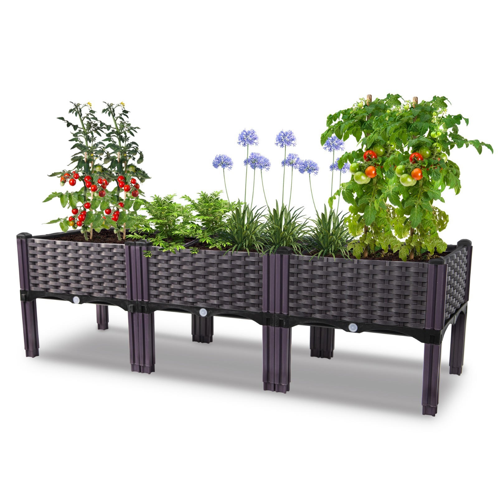 3-Pack Raised Garden Bed Kit: Rectangle Planter Box for Flowers & Vegetables gallery