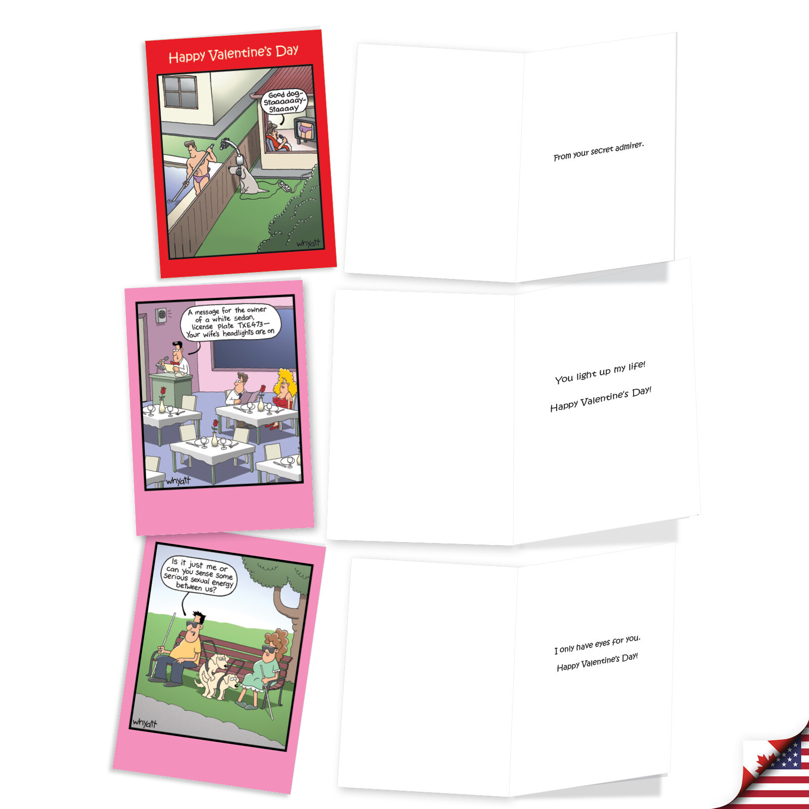 10 Asst'd Set Funny Valentine's Day Cards w/Envelopes (10 Designs) - Wacky Love gallery