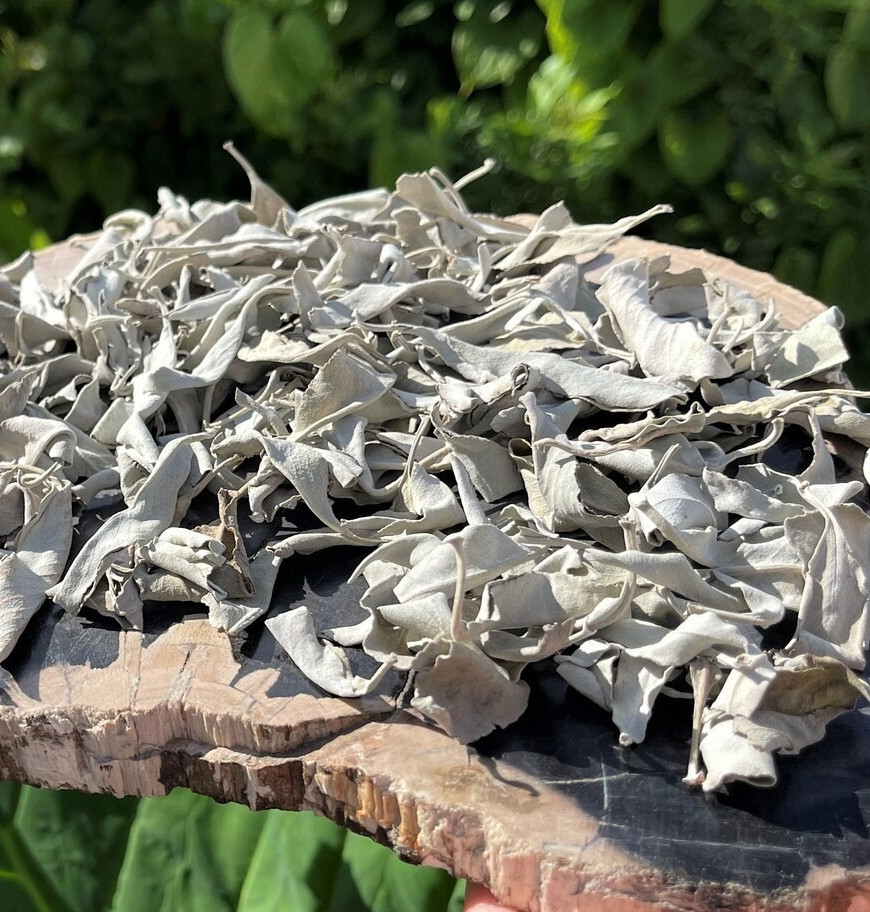 White Sage Clusters Bulk Loose Leaf White Sage for Cleansing & Smudging gallery