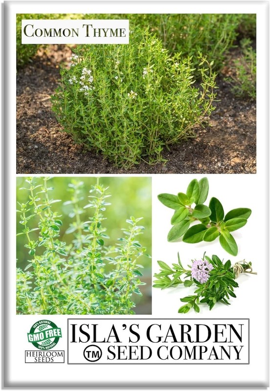 Fragrant Common Thyme Seeds - 1000+ Non-GMO for Easy Culinary and Medicinal Use gallery
