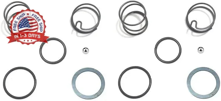 2 SET N078434 N089668 Spring Kits with Steel Ball, Fit DCF885 DCF886, Impact Dri gallery