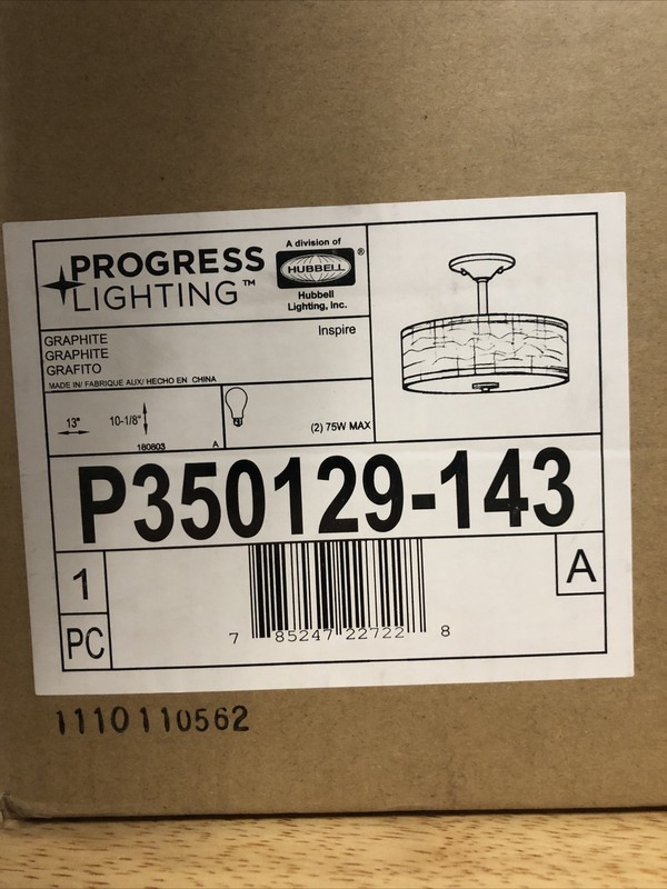 Progress Lighting P350129-143 Inspire 2-Light Graphite Semi- Flush Mount New gallery