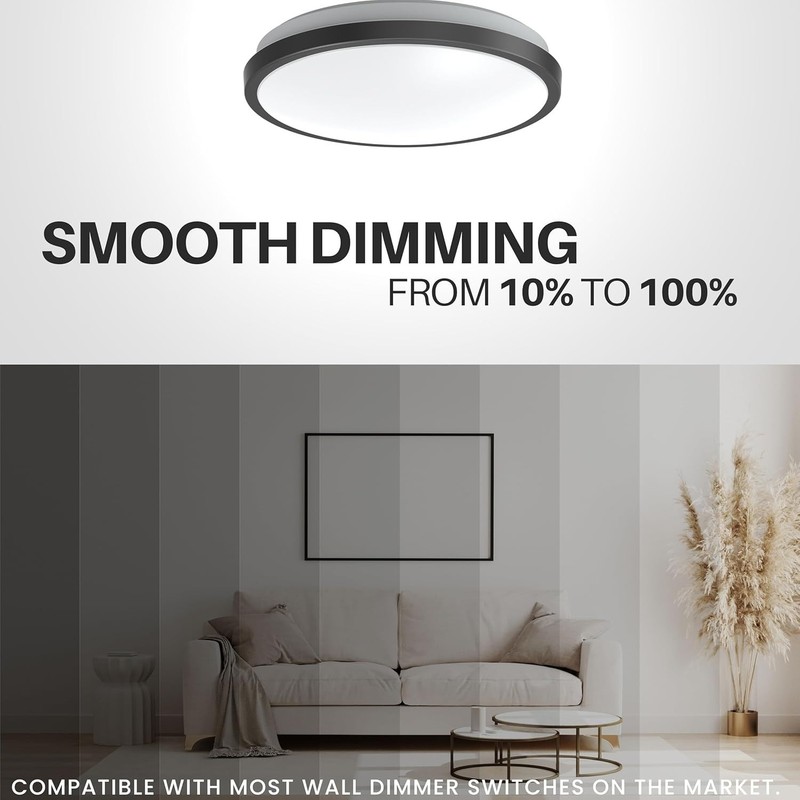 DYMOND 10''Matte Black LED Ceiling Light Flush (4000K Natural Daylight) gallery