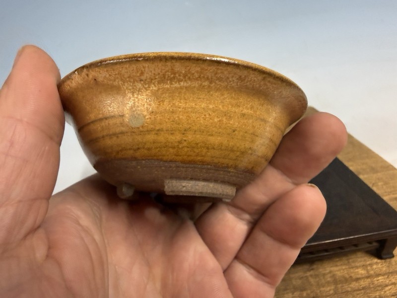 Japanese Unknown Maker Shohin Bonsai Tree Pot 3 1/2 By 1 1/4” Mustard Glaze gallery