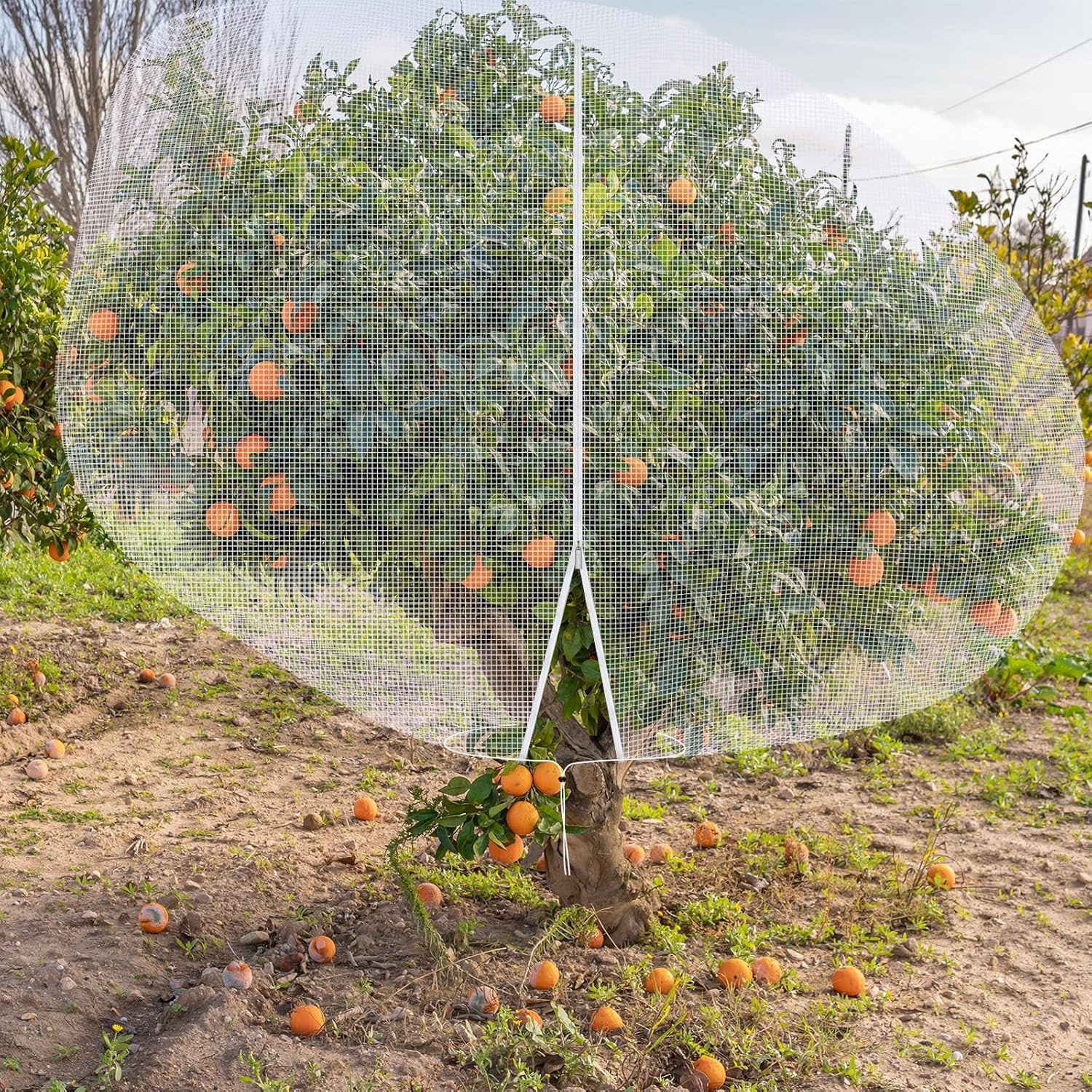 12 x 12 FT Large Fruit Tree Netting Bags Garden Plant Protector with Zipper a... gallery
