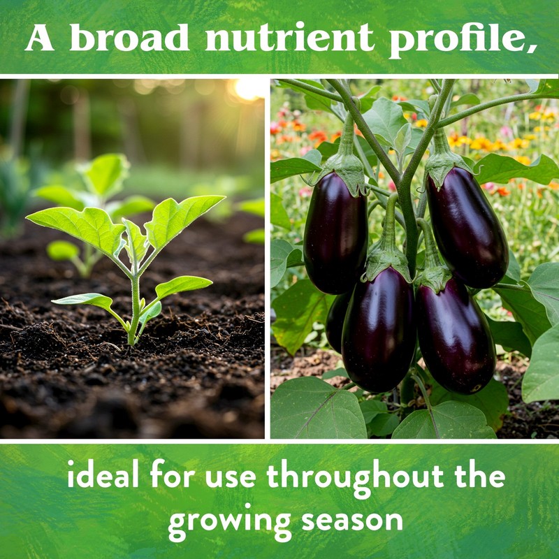 Down to Earth (#07854) Organic Vegetable Garden Fertilizer 4-4-4, 5# box gallery