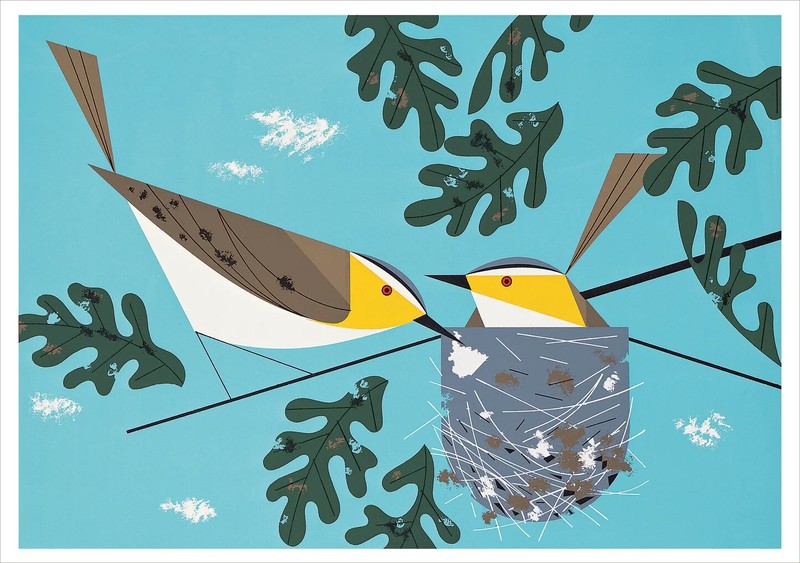 Charley Harper: Nesting Instinct - Notecards - 20 cards and envelopes BX018 gallery