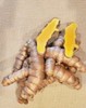 Fresh Organic Yellow Turmeric Root. 14 - ounces package -Free Shipping gallery