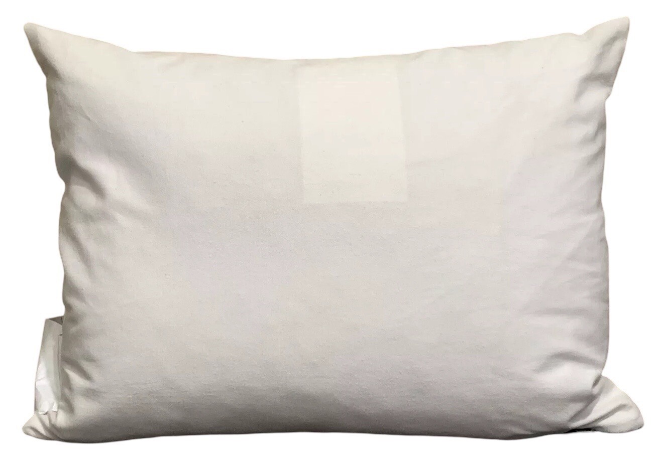 Ralph Lauren Cosima Embroidery Decorative Throw Pillow Off White/Blue 15"x20" gallery