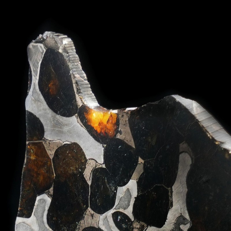 Authentic Brenham Pallasite Meteorite Slice - 24g Iron Nickel Matrix gallery