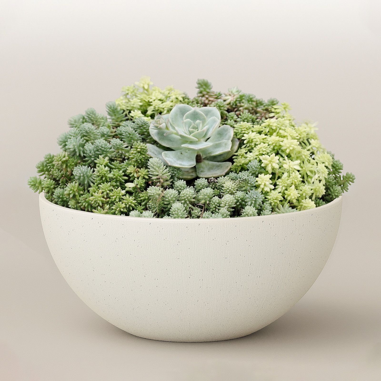 Bamworld 10 Inch Plastic/Stone/Wood Composite Low Bowl Planter No Drainage Hole gallery