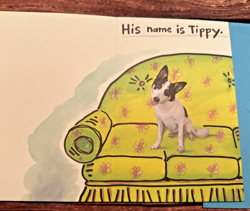 78th Street Forget Me Not Greeting Card " I finally found My perfect Someone!" gallery