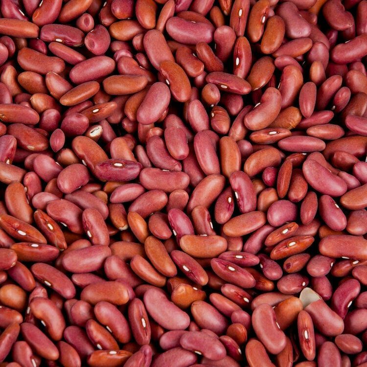 Large Kidney Beans gallery
