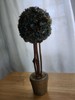 Pinecone Topiary, 13 Inches Tall By 4 1/2 Inches Wide. gallery
