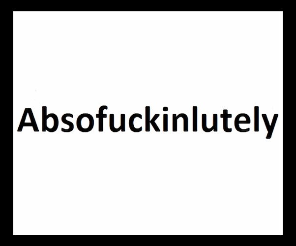 Absof*ckinlutely Refrigerator Fridge MAGNET gallery