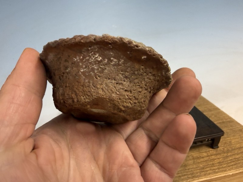 Japanese Unknown Maker Shohin Bonsai Tree Pot 3 1/2 By 1 1/4” Unique Unglazed gallery