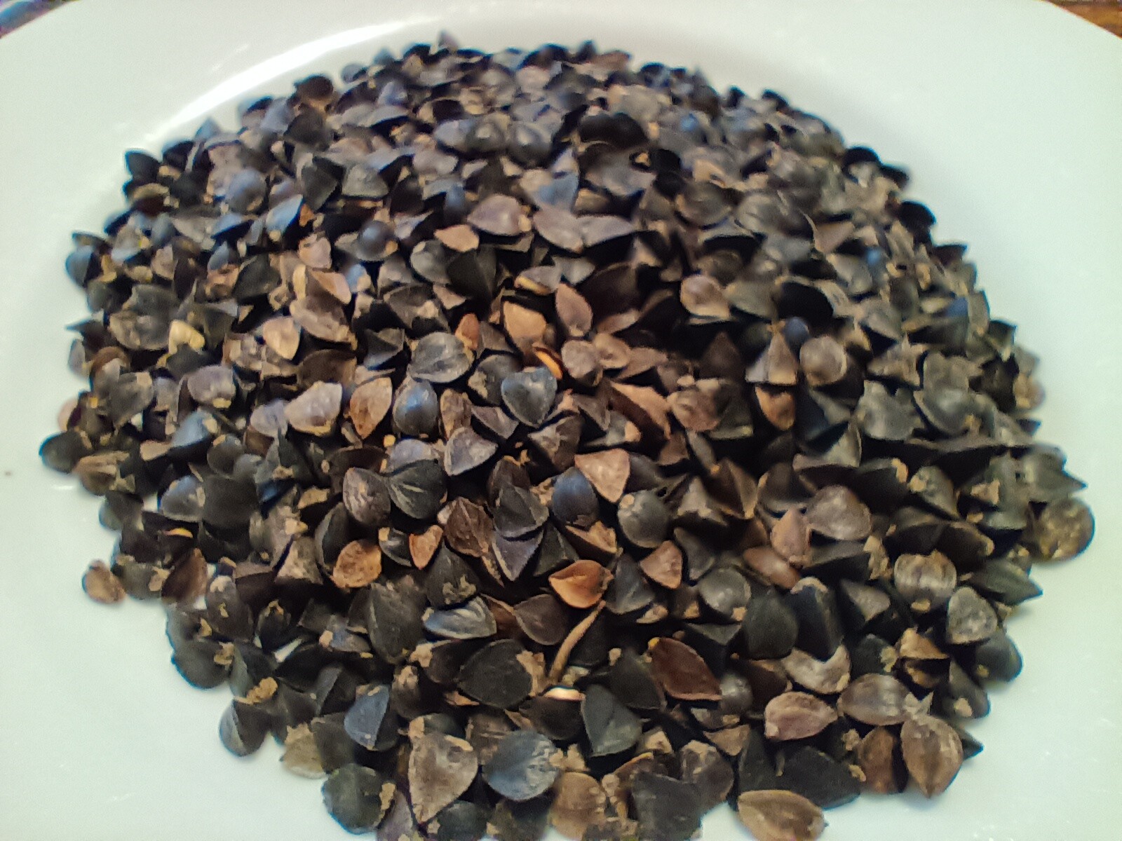 Buckwheat Seeds - Nutrient-Dense, Fast-Growing Green Manure & Cover Crop gallery