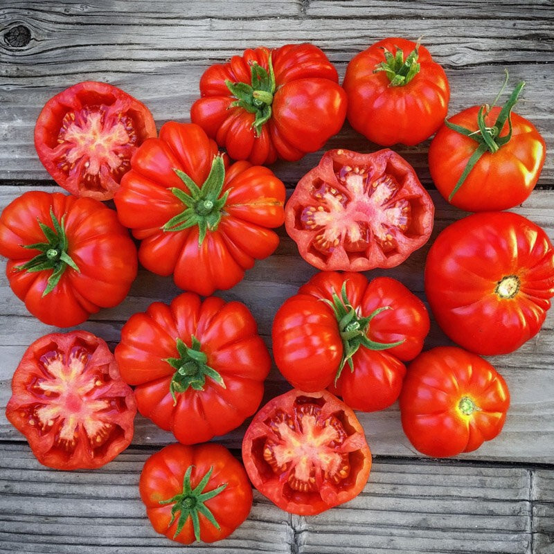 120+ TOMATO SEEDS -- ROSS0 SICILIAN ---- HEIRLOOM --- ORGANIC -------- RARE gallery