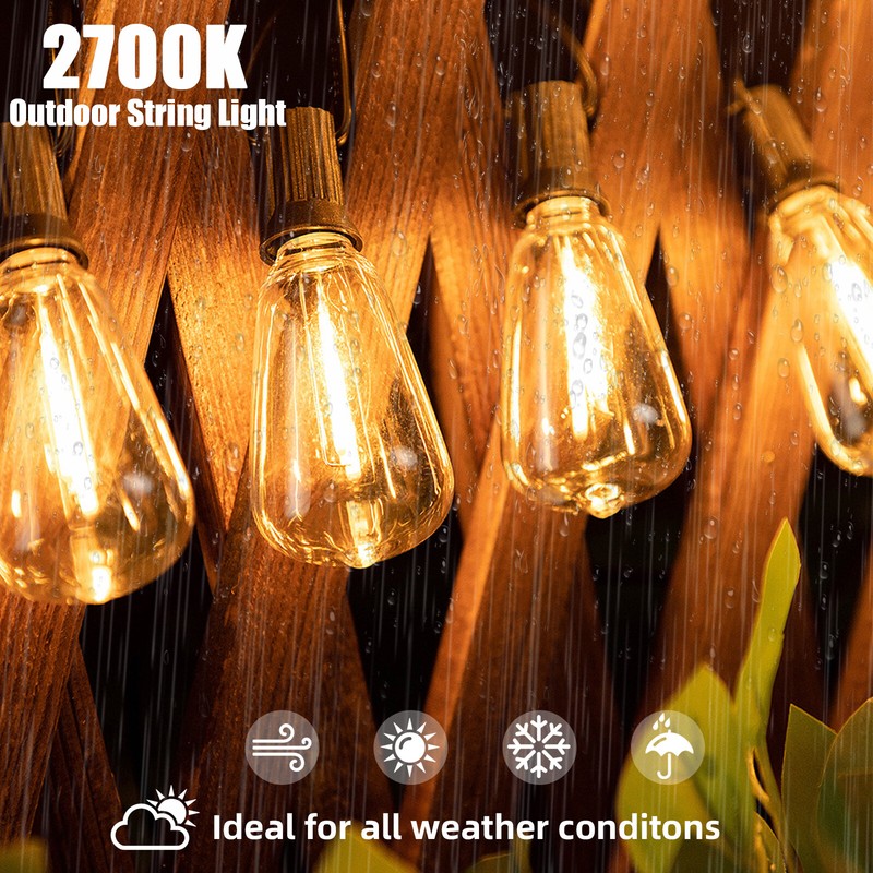 50 FT - 100 FT, String Lights for Outside, 110-130V, Outdoor Lights String Water gallery