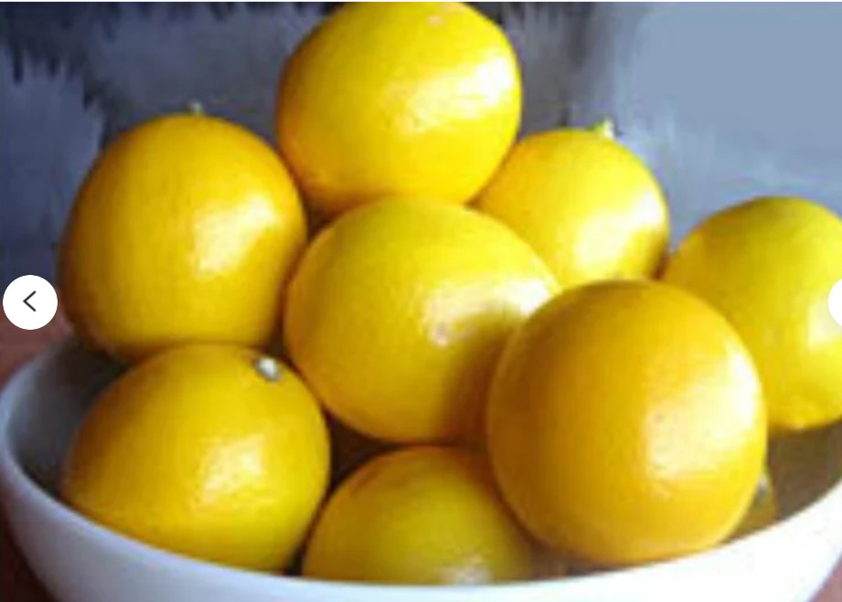 RARE-DWARF MEYER LEMON FRUIT PLANT (5 SEEDS ) -Combined Shipping (USA seller) gallery