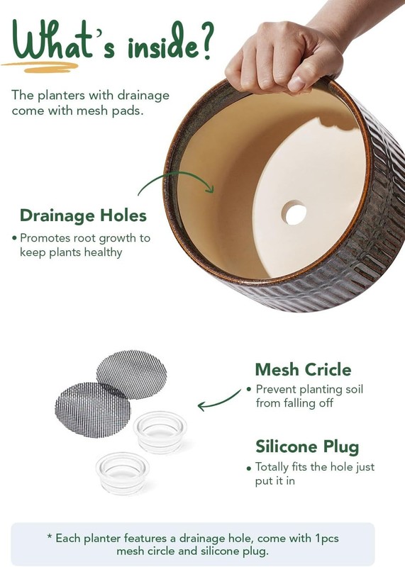Modern Round Succulent Planters with Drainage Hole, Set of 2, 6.5 & 8 Inch gallery