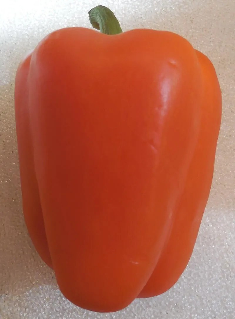 240+ Orange King Bell Pepper Seeds - Sweet - Heirloom - Organic - NON GMO gallery