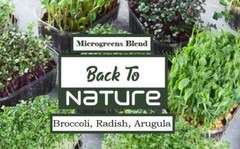 Broccoli, Radish, Arugula Microgreen Seed Blend – Organic Seeds – Non Gmo