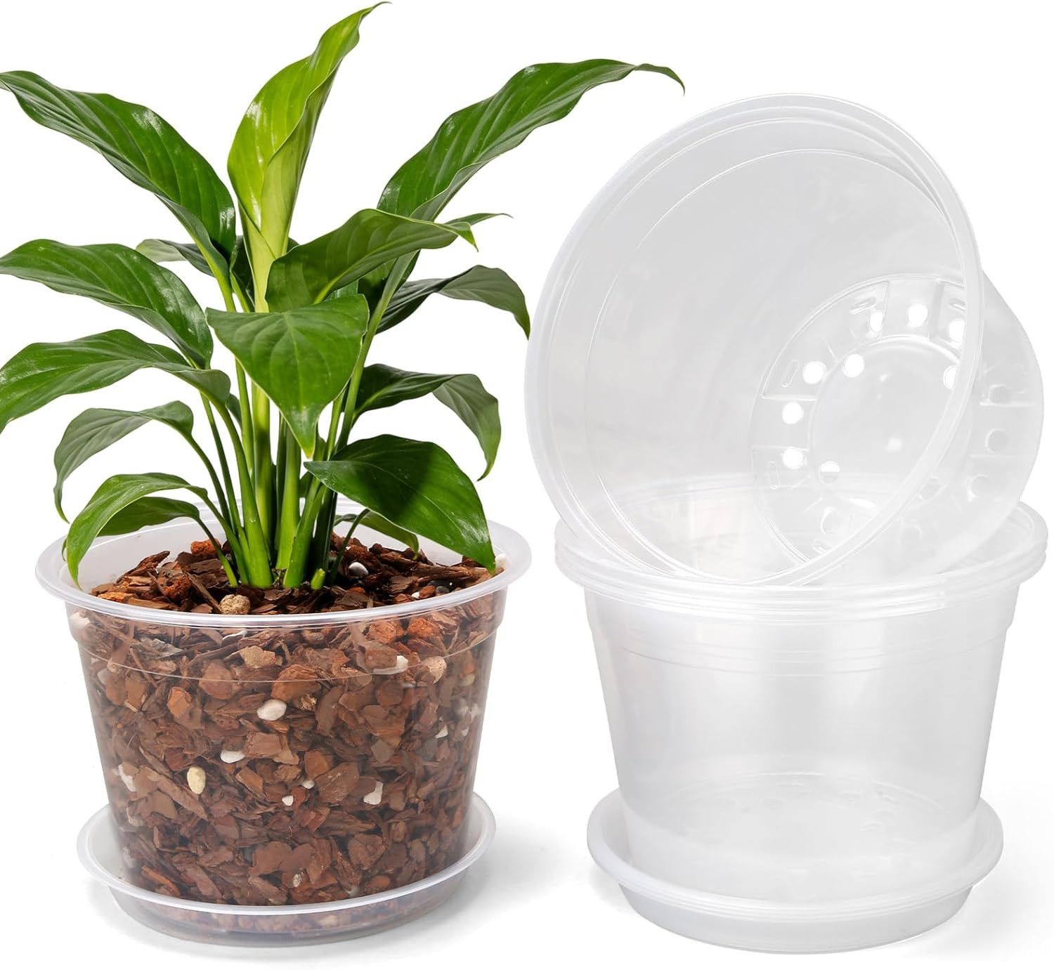 5 Packs 10 Inch Large Clear Nursery Pots with Drainage Hole and Saucers, Plastic gallery