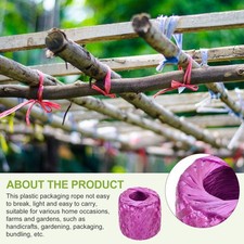 Polyester Nylon Plastic Twine 30 Mm-225 m Long Household Packing Purple gallery