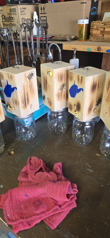 CARPENTER 'BORE' BEE TRAPS THAT WORK! gallery