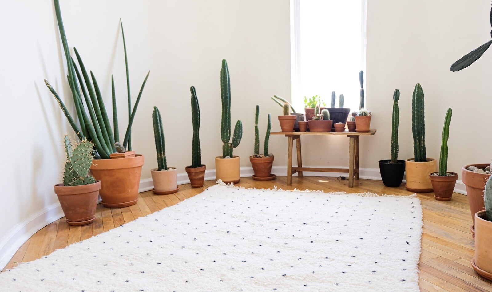 Moroccan Beniouarain Rug “Mojan” gallery