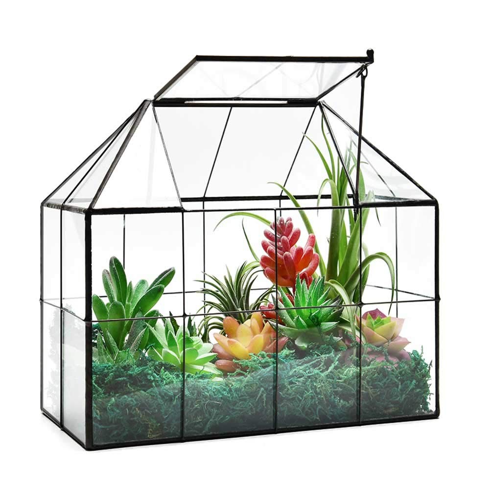 Glass Terrarium Planter for Succulents – 9.8" x 7.9" x 5.9" Greenhouse with Lid gallery