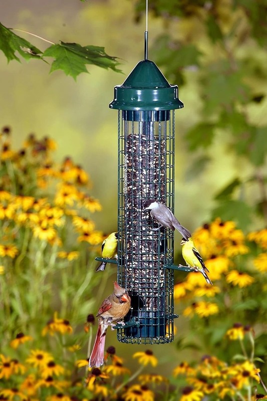 Classic Squirrel-Proof Bird Feeder - 4 Ports, 2.4lb Capacity, UV Resistant Metal gallery