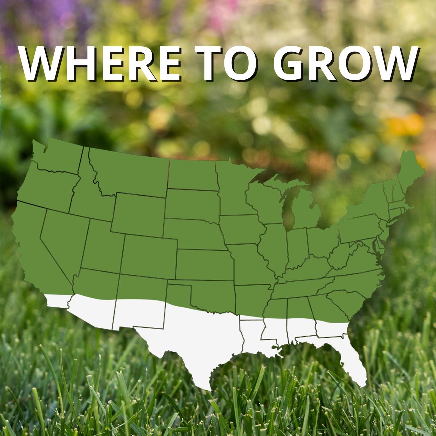 Jonathan Green Fast Grow Mixed Sun or Shade Grass Seed 25 lb gallery