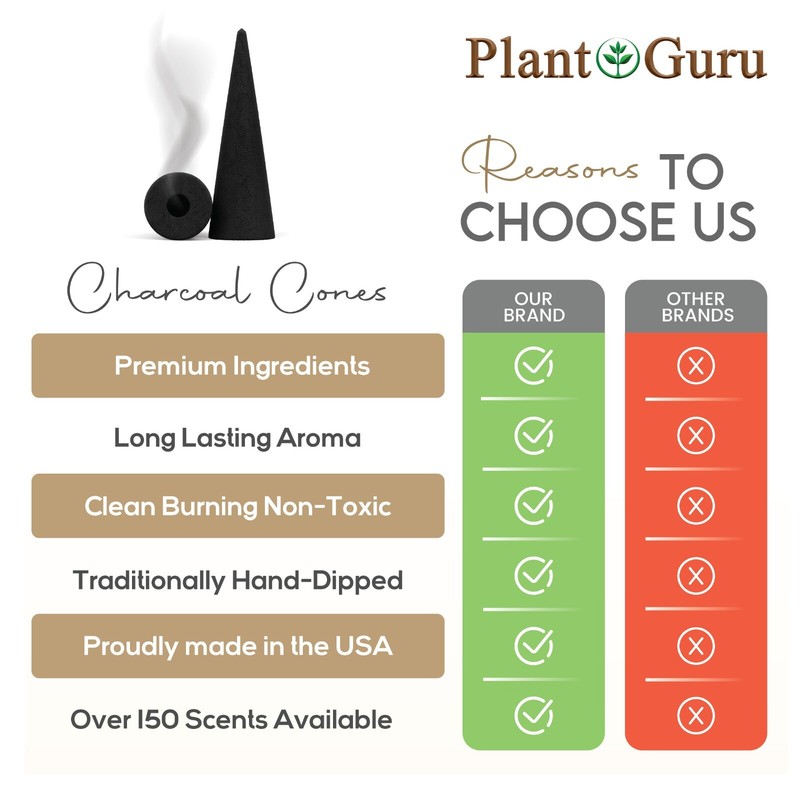30 Jumbo Charcoal Incense Cones BACKFLOW 2" Bulk Waterfall Burner Holder Censer gallery