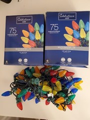 Celebrations LED 75 In/Outdoor Multi-Faceted-C9 Light Strings