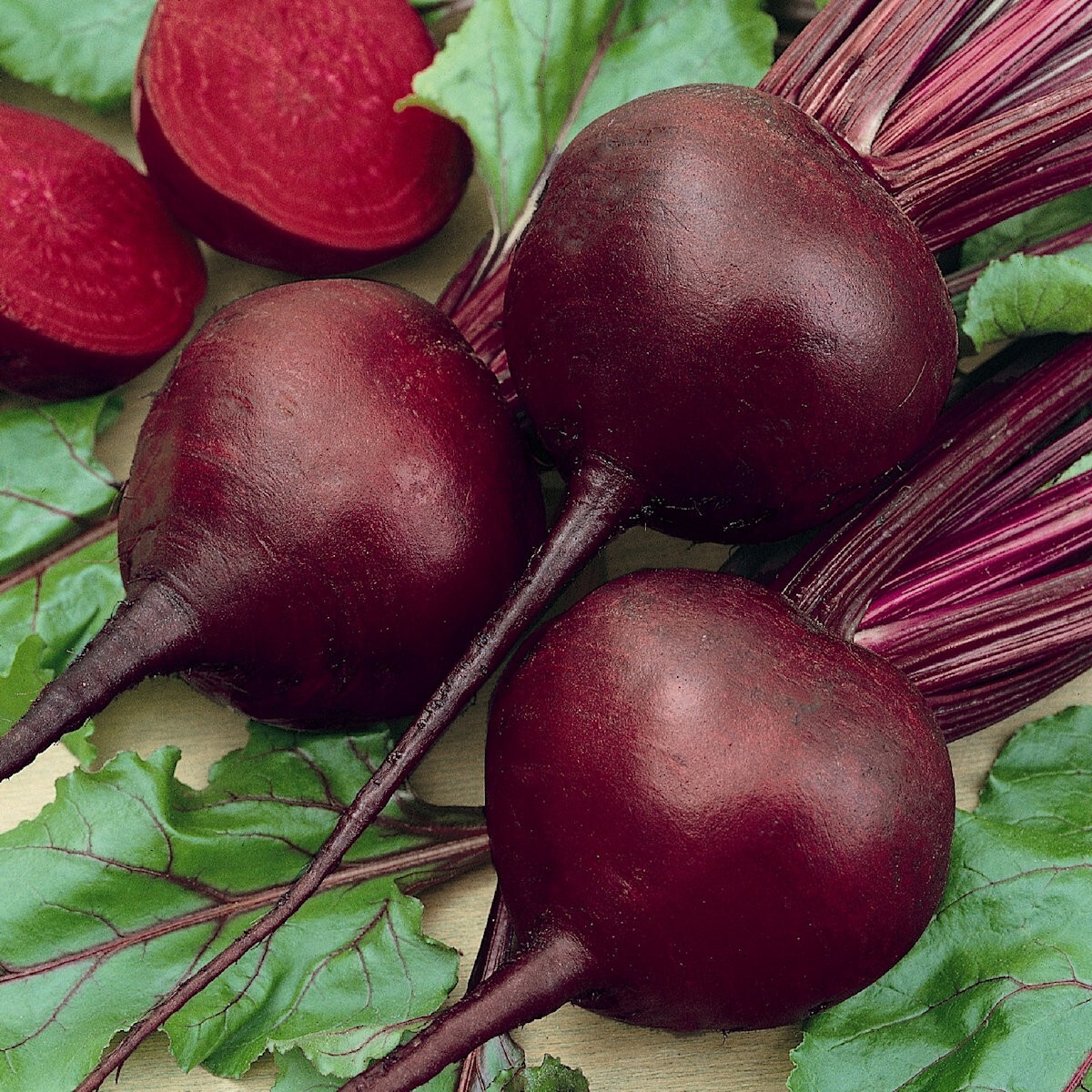 1 Lb Detroit Dark Red Beet Seeds - Everwilde Farms Mylar Seed Packet gallery