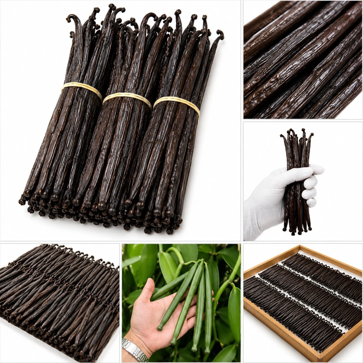 Sumatera Organic Vanilla Beans Grade A - 10 Pods, 7" Long gallery