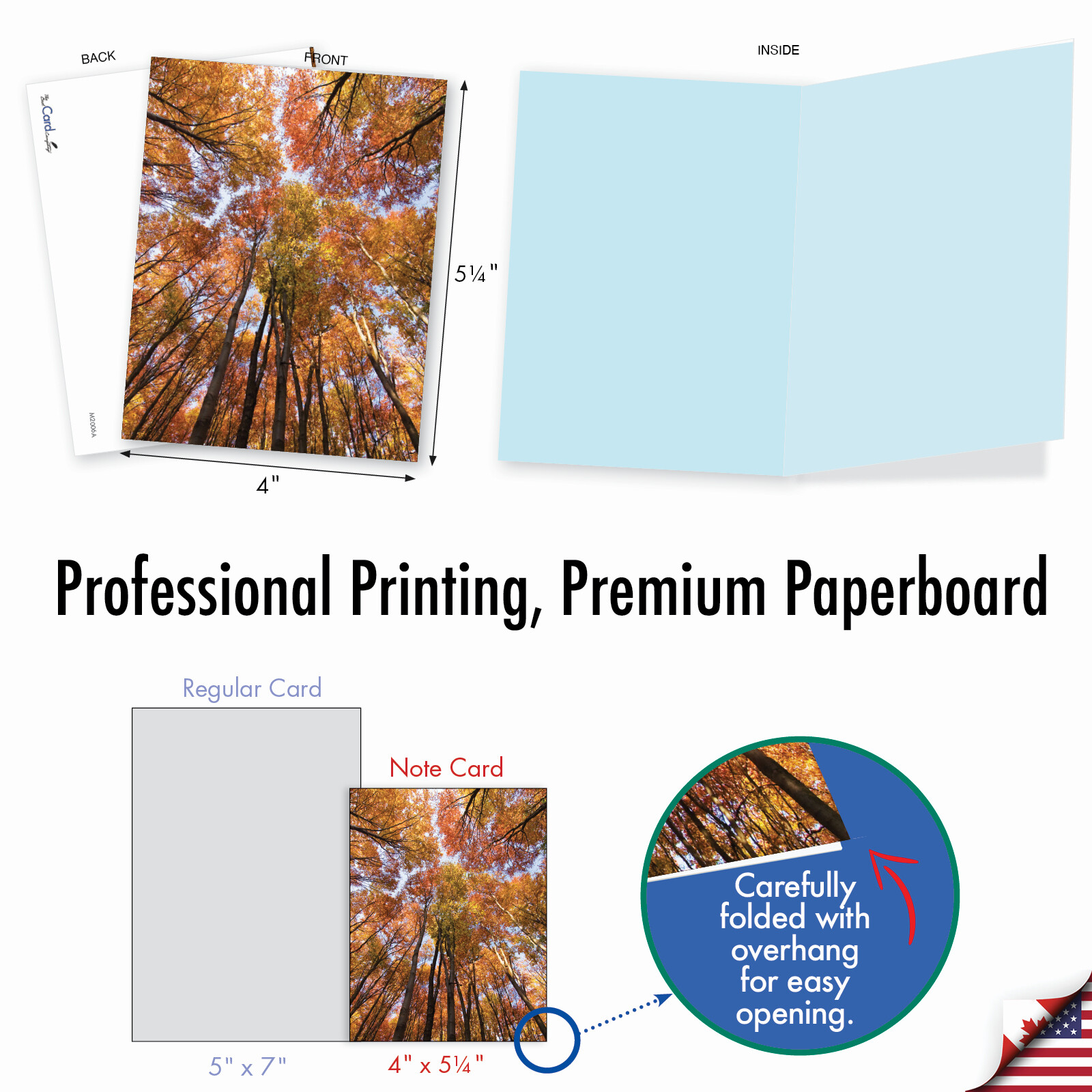 10 Assorted All Occasion Blank Note Cards with Envelopes - OVER THE TOP M2006 gallery