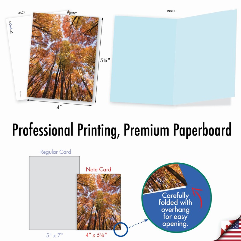 10 Assorted All Occasion Blank Note Cards with Envelopes - OVER THE TOP M2006 gallery