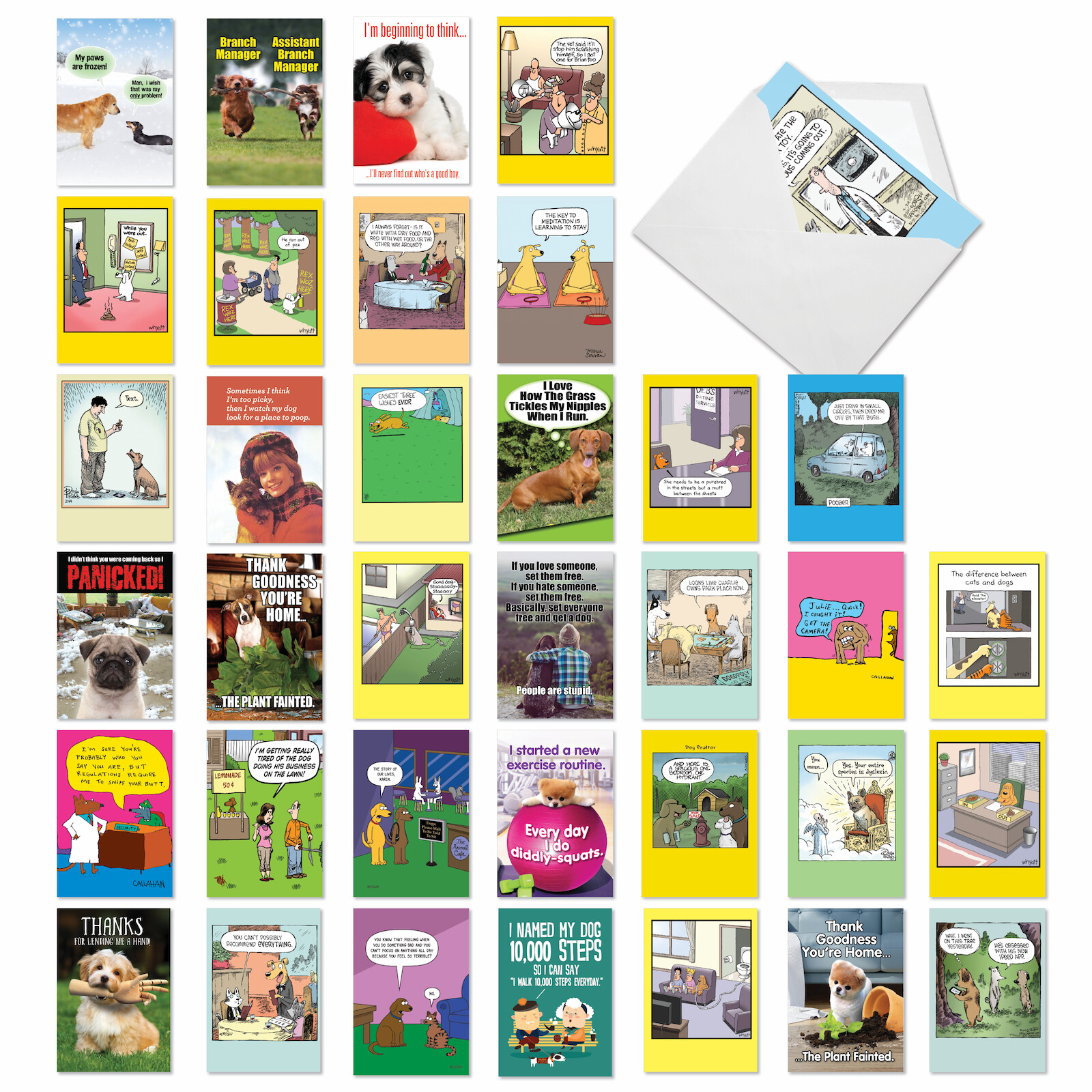 36 Asst'd Set Funny Blank Greeting Cards w/ 5x7" Env. - Barking Blanks gallery